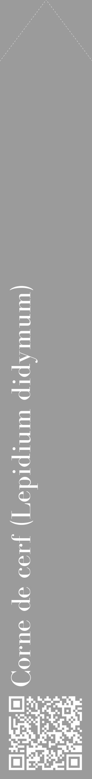 Étiquette de : Lepidium didymum - format c - style blanche52_simple_simplebod avec qrcode et comestibilité - position verticale