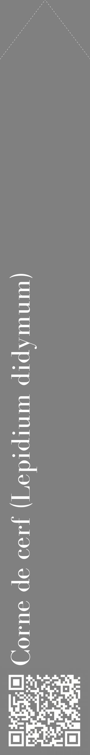 Étiquette de : Lepidium didymum - format c - style blanche57_simplebod avec qrcode et comestibilité