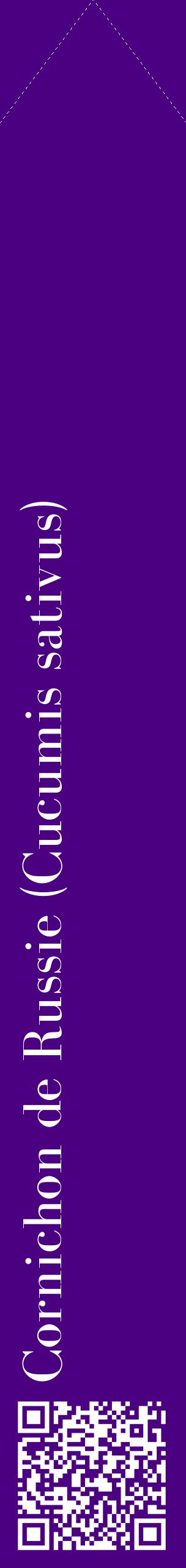 Étiquette de : Cucumis sativus - format c - style blanche47_simplebod avec qrcode et comestibilité