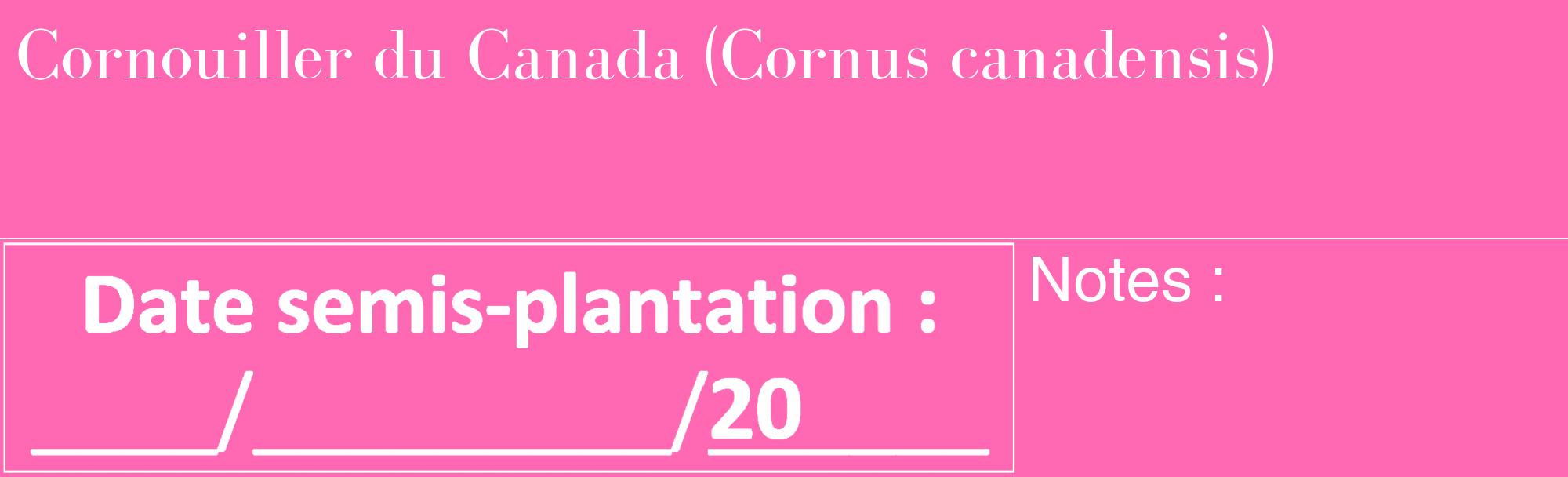 Étiquette de : Cornus canadensis - format c - style blanche42_basique_basiquebod avec comestibilité
