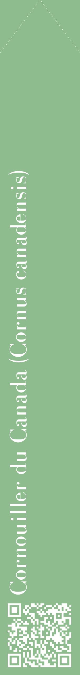 Étiquette de : Cornus canadensis - format c - style blanche13_simplebod avec qrcode et comestibilité