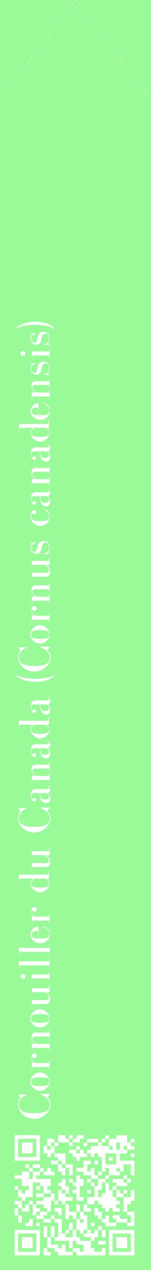 Étiquette de : Cornus canadensis - format c - style blanche14_simplebod avec qrcode et comestibilité