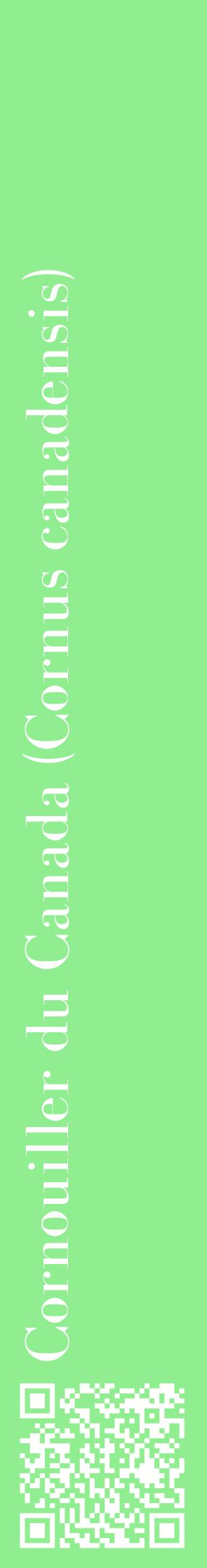 Étiquette de : Cornus canadensis - format c - style blanche15_basiquebod avec qrcode et comestibilité