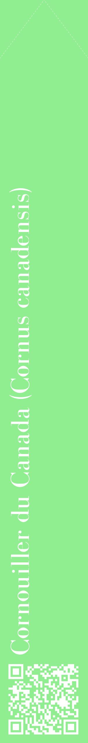 Étiquette de : Cornus canadensis - format c - style blanche15_simplebod avec qrcode et comestibilité