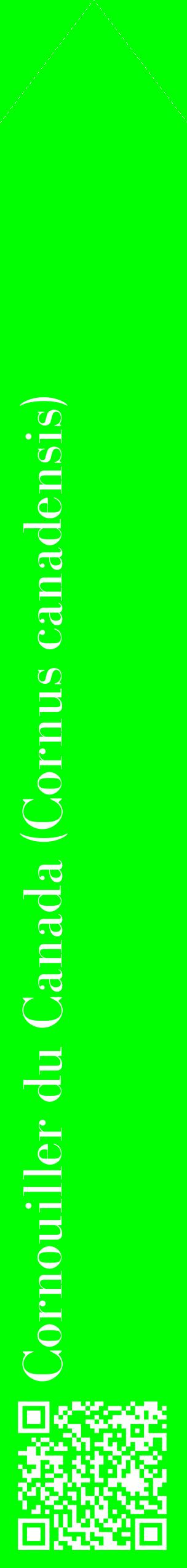 Étiquette de : Cornus canadensis - format c - style blanche16_simplebod avec qrcode et comestibilité