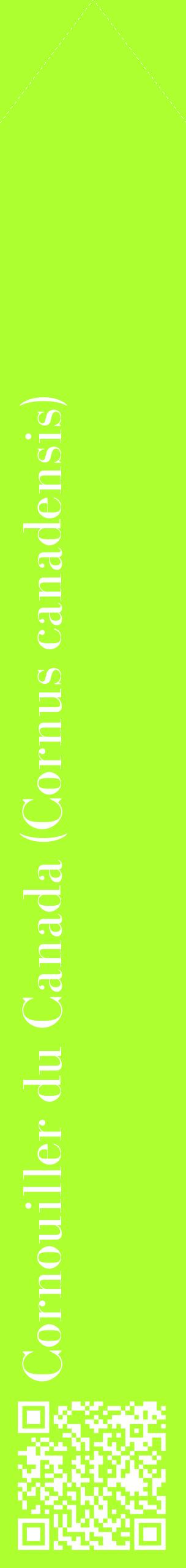 Étiquette de : Cornus canadensis - format c - style blanche17_simplebod avec qrcode et comestibilité