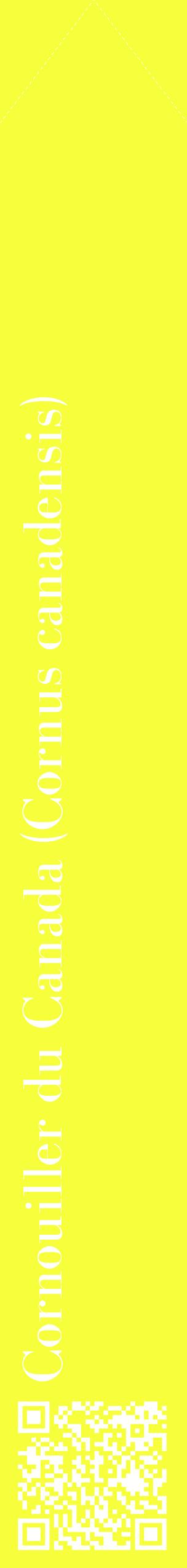 Étiquette de : Cornus canadensis - format c - style blanche18_simplebod avec qrcode et comestibilité