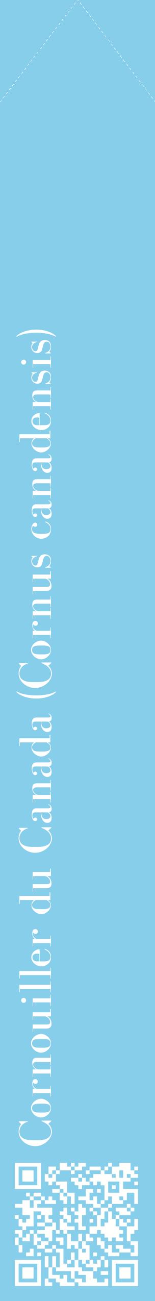 Étiquette de : Cornus canadensis - format c - style blanche1_simplebod avec qrcode et comestibilité