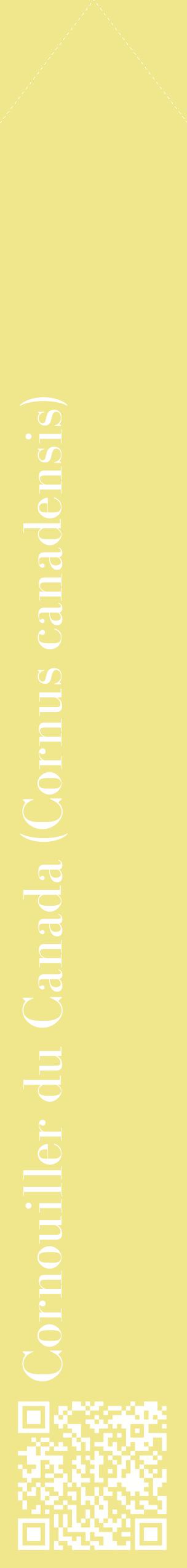 Étiquette de : Cornus canadensis - format c - style blanche20_simplebod avec qrcode et comestibilité