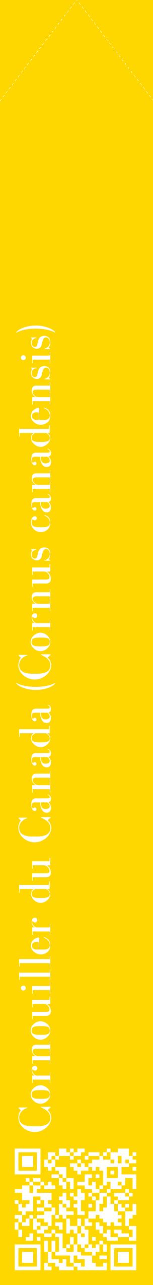 Étiquette de : Cornus canadensis - format c - style blanche21_simplebod avec qrcode et comestibilité