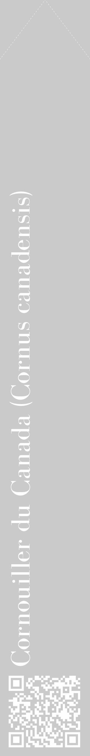 Étiquette de : Cornus canadensis - format c - style blanche21_simple_simplebod avec qrcode et comestibilité - position verticale