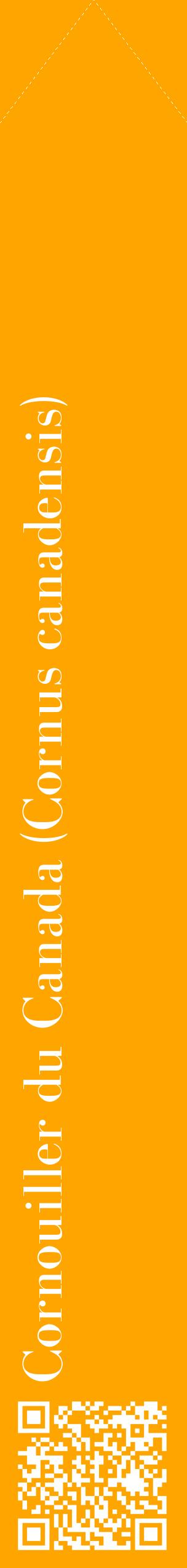Étiquette de : Cornus canadensis - format c - style blanche22_simplebod avec qrcode et comestibilité