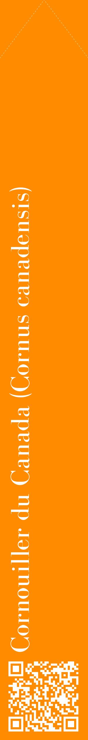 Étiquette de : Cornus canadensis - format c - style blanche23_simplebod avec qrcode et comestibilité