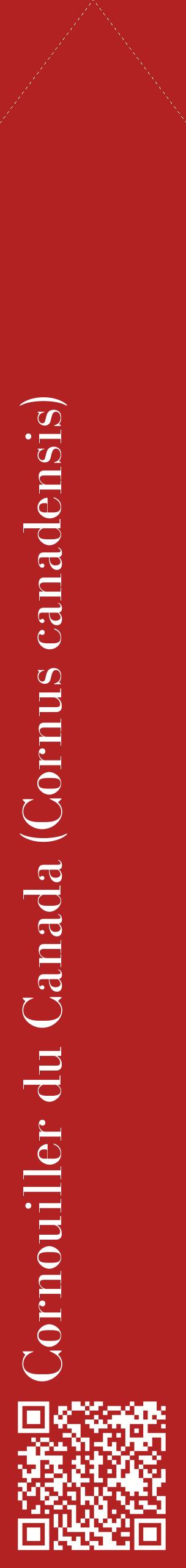 Étiquette de : Cornus canadensis - format c - style blanche28_simplebod avec qrcode et comestibilité