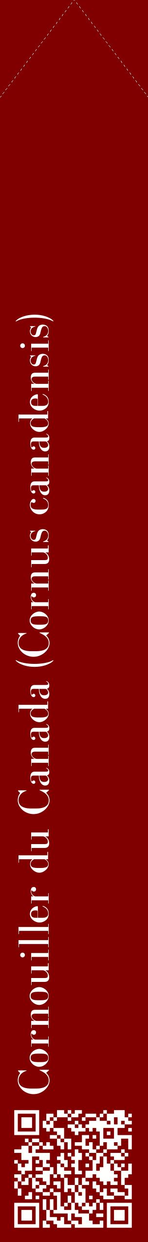 Étiquette de : Cornus canadensis - format c - style blanche29_simplebod avec qrcode et comestibilité