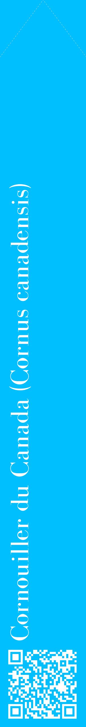 Étiquette de : Cornus canadensis - format c - style blanche2_simplebod avec qrcode et comestibilité