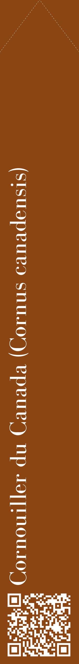 Étiquette de : Cornus canadensis - format c - style blanche30_simplebod avec qrcode et comestibilité