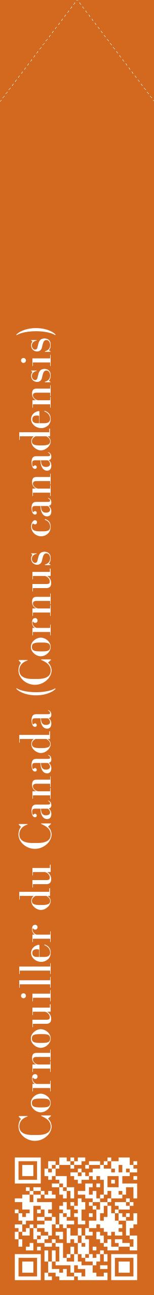 Étiquette de : Cornus canadensis - format c - style blanche31_simplebod avec qrcode et comestibilité