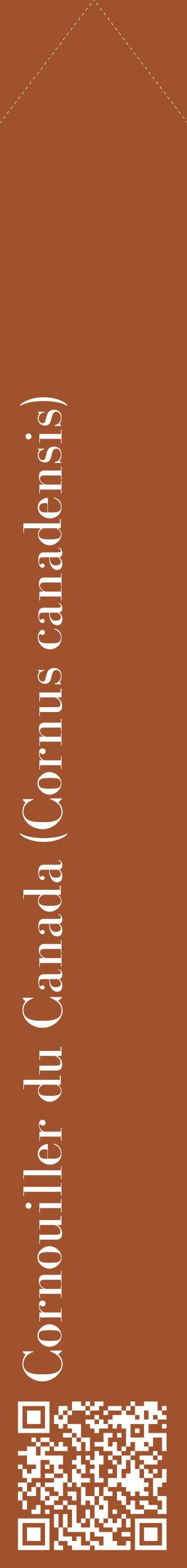 Étiquette de : Cornus canadensis - format c - style blanche32_simplebod avec qrcode et comestibilité