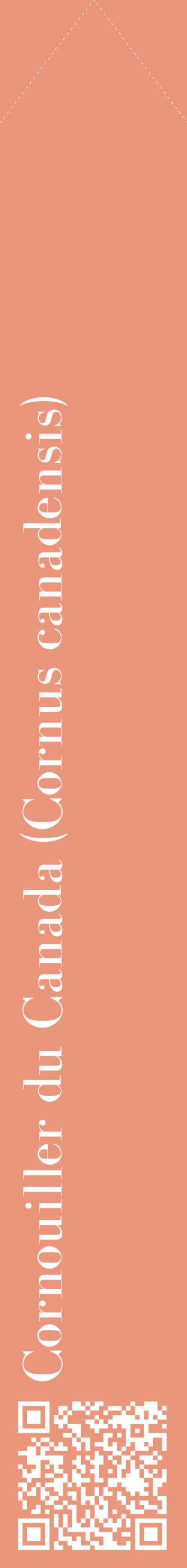 Étiquette de : Cornus canadensis - format c - style blanche37_simplebod avec qrcode et comestibilité