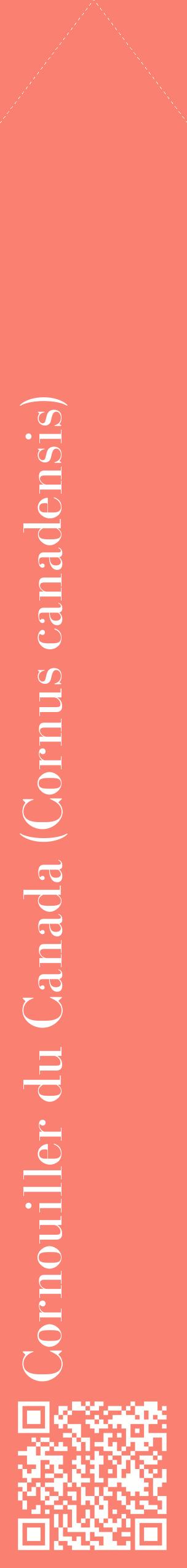 Étiquette de : Cornus canadensis - format c - style blanche38_simplebod avec qrcode et comestibilité