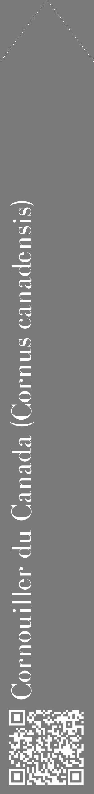 Étiquette de : Cornus canadensis - format c - style blanche3_simple_simplebod avec qrcode et comestibilité - position verticale