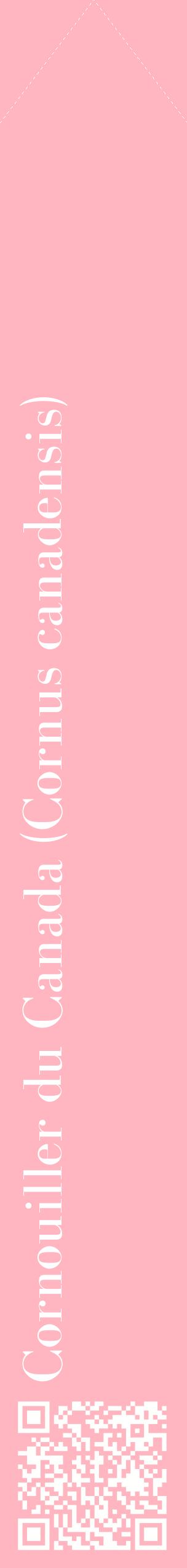 Étiquette de : Cornus canadensis - format c - style blanche41_simplebod avec qrcode et comestibilité