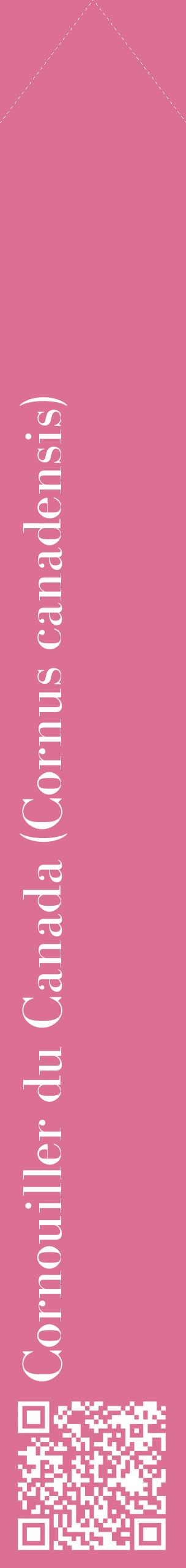 Étiquette de : Cornus canadensis - format c - style blanche44_simplebod avec qrcode et comestibilité