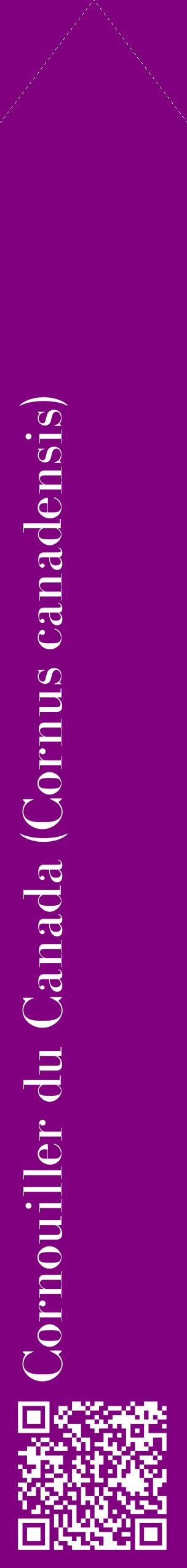Étiquette de : Cornus canadensis - format c - style blanche46_simplebod avec qrcode et comestibilité