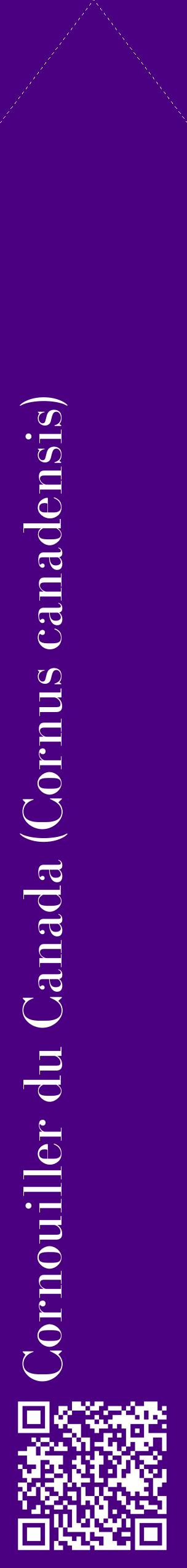 Étiquette de : Cornus canadensis - format c - style blanche47_simplebod avec qrcode et comestibilité