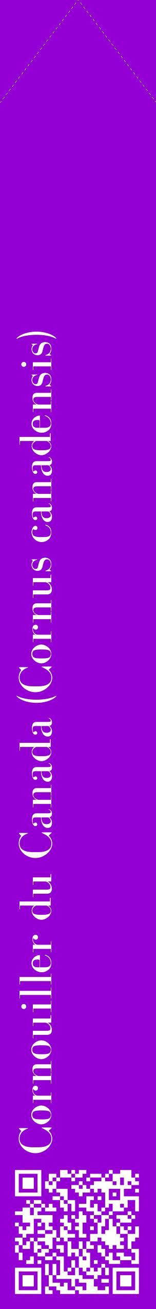 Étiquette de : Cornus canadensis - format c - style blanche48_simplebod avec qrcode et comestibilité