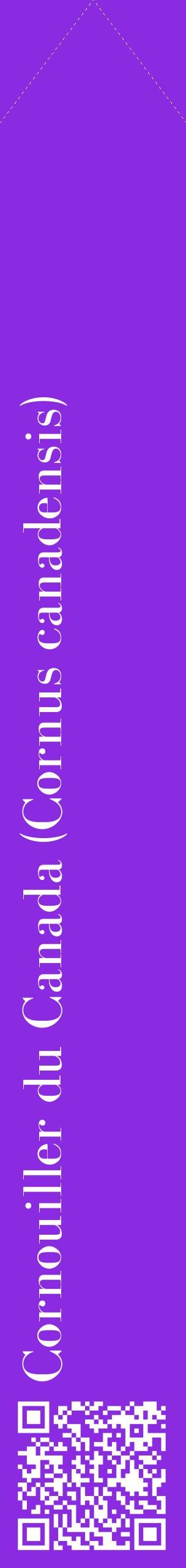 Étiquette de : Cornus canadensis - format c - style blanche49_simplebod avec qrcode et comestibilité
