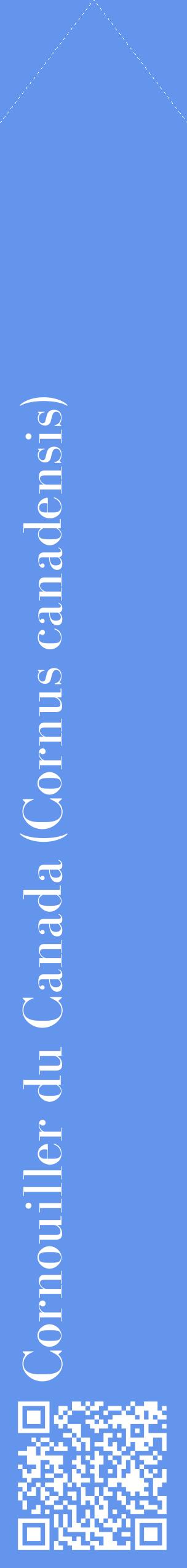 Étiquette de : Cornus canadensis - format c - style blanche4_simplebod avec qrcode et comestibilité