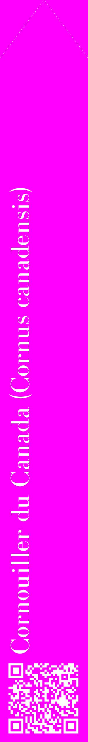 Étiquette de : Cornus canadensis - format c - style blanche51_simplebod avec qrcode et comestibilité