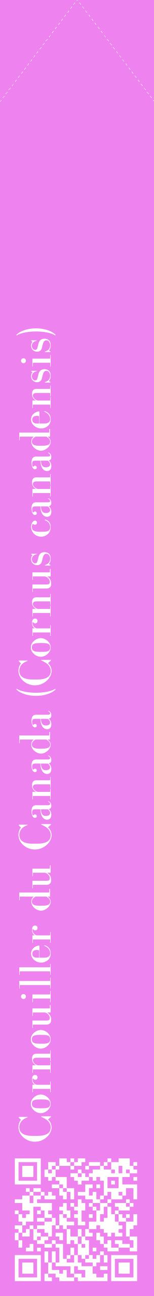 Étiquette de : Cornus canadensis - format c - style blanche53_simplebod avec qrcode et comestibilité