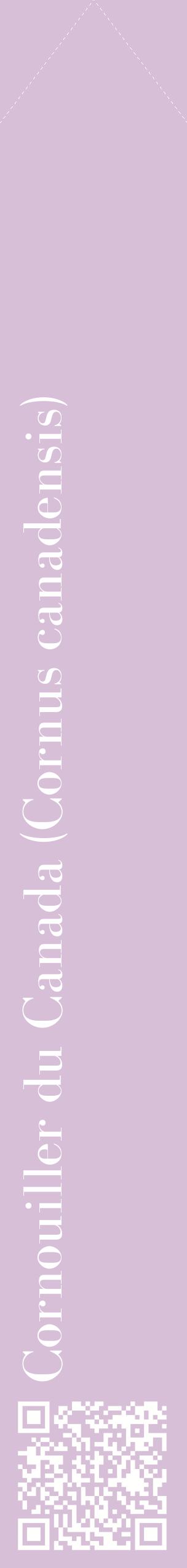 Étiquette de : Cornus canadensis - format c - style blanche54_simplebod avec qrcode et comestibilité
