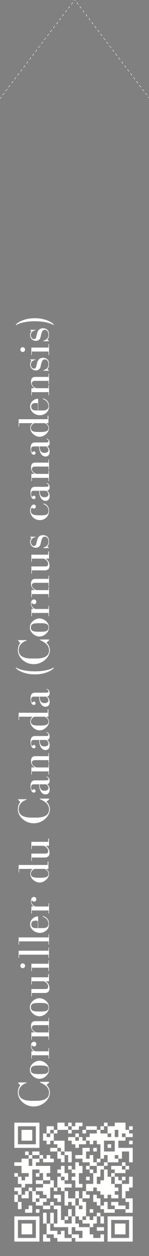 Étiquette de : Cornus canadensis - format c - style blanche57_simplebod avec qrcode et comestibilité