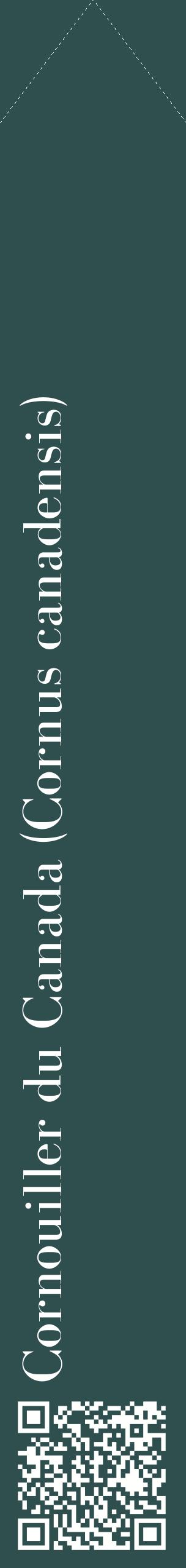 Étiquette de : Cornus canadensis - format c - style blanche58_simplebod avec qrcode et comestibilité
