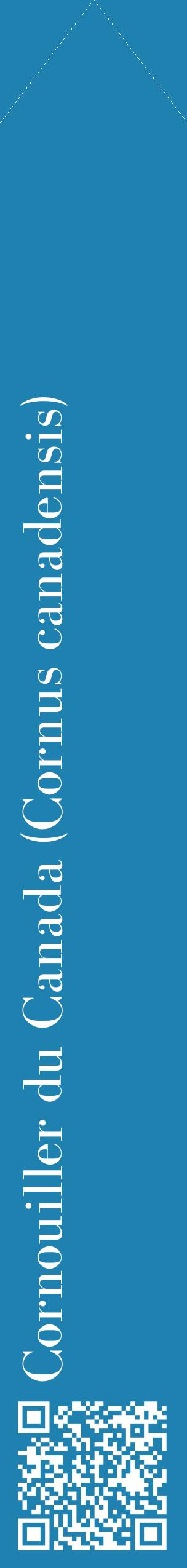 Étiquette de : Cornus canadensis - format c - style blanche6_simplebod avec qrcode et comestibilité