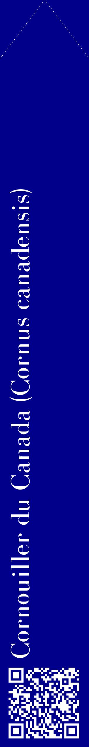 Étiquette de : Cornus canadensis - format c - style blanche7_simplebod avec qrcode et comestibilité