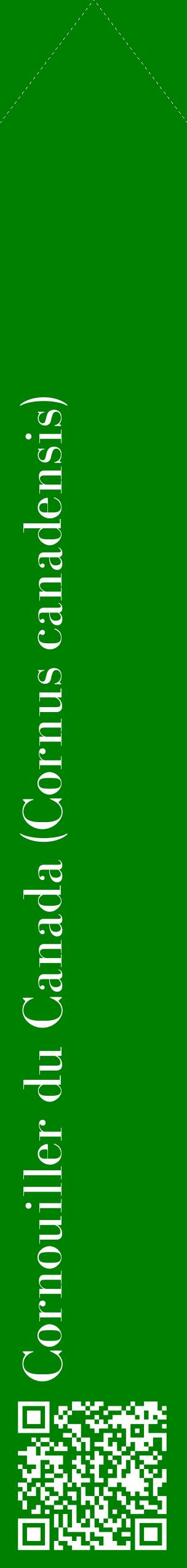 Étiquette de : Cornus canadensis - format c - style blanche9_simplebod avec qrcode et comestibilité