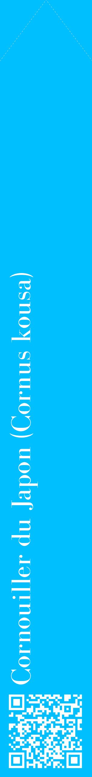 Étiquette de : Cornus kousa - format c - style blanche2_simplebod avec qrcode et comestibilité