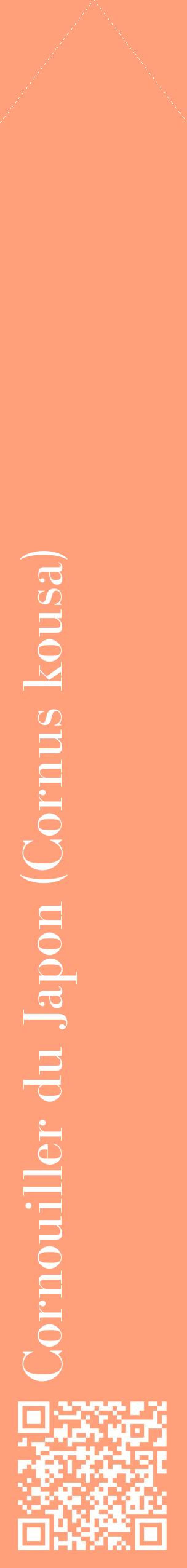 Étiquette de : Cornus kousa - format c - style blanche39_simplebod avec qrcode et comestibilité