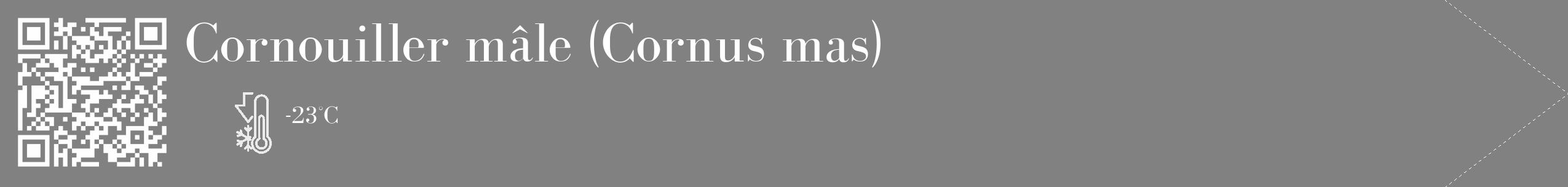 Étiquette de : Cornus mas - format c - style blanche50_simple_simplebod avec qrcode et comestibilité