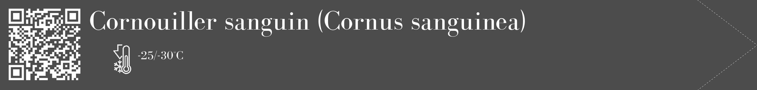 Étiquette de : Cornus sanguinea - format c - style blanche27_simple_simplebod avec qrcode et comestibilité