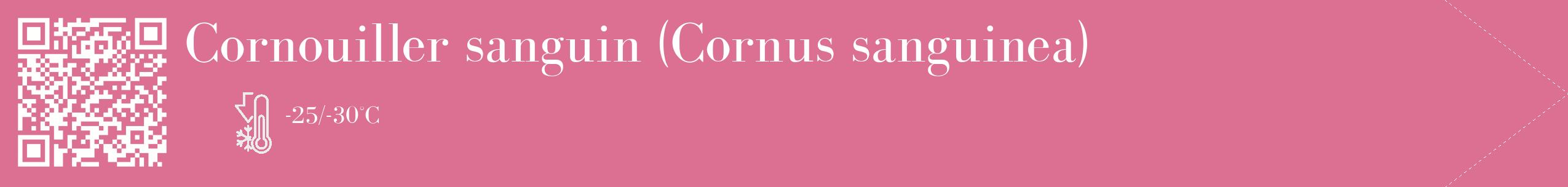 Étiquette de : Cornus sanguinea - format c - style blanche44_simple_simplebod avec qrcode et comestibilité