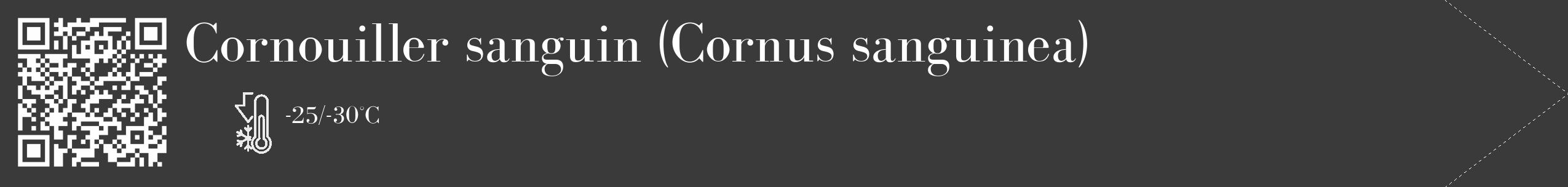 Étiquette de : Cornus sanguinea - format c - style blanche8_simple_simplebod avec qrcode et comestibilité
