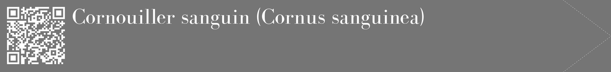 Étiquette de : Cornus sanguinea - format c - style blanche5_simple_simplebod avec qrcode et comestibilité