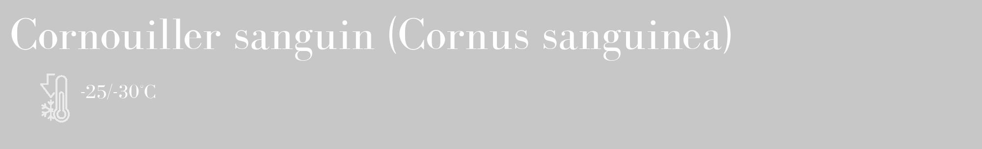 Étiquette de : Cornus sanguinea - format c - style blanche15_basique_basiquebod avec comestibilité
