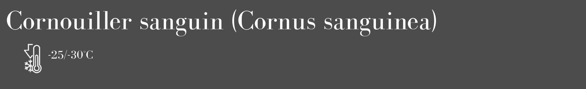 Étiquette de : Cornus sanguinea - format c - style blanche27_basique_basiquebod avec comestibilité